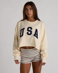 USA pullover