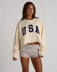 USA pullover
